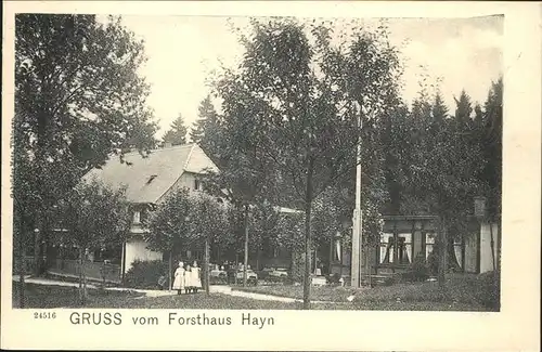 Hayn Forsthaus