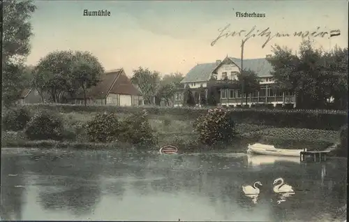 Aumuehle Lauenburg Fischerhaus Schwan