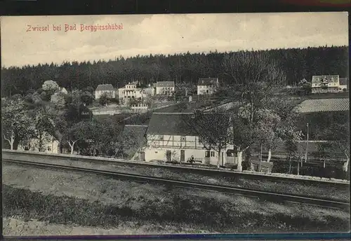 Zwiesel Bad Gottleuba-Berggiesshuebel 