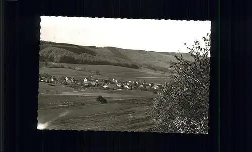 Altenhellefeld  Kat. Sundern (Sauerland)