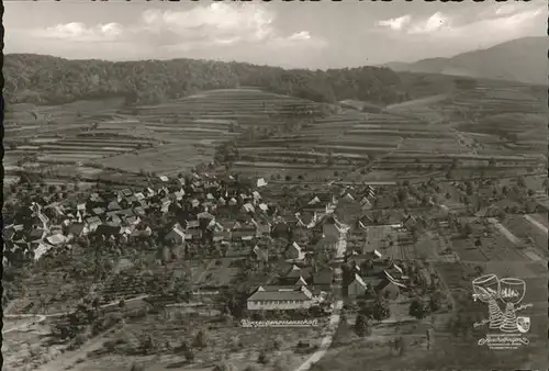 Bischoffingen Fliegeraufnahme Kat. Vogtsburg im Kaiserstuhl