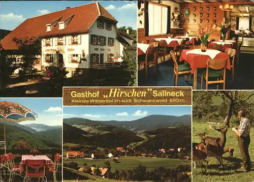 Sallneck Gasthof Hirschen Kat. Sallneck