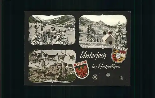 Unterjoch Tirol Stadt Wappen Bayern Hirsche Wild Kat. Bad Hindelang