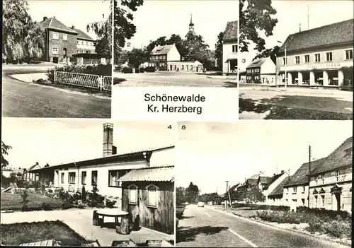 Schoenewalde Herzberg Otto-Nagel-Oberschule Kindergrippe Pitti Kat. Schoenewalde Herzberg