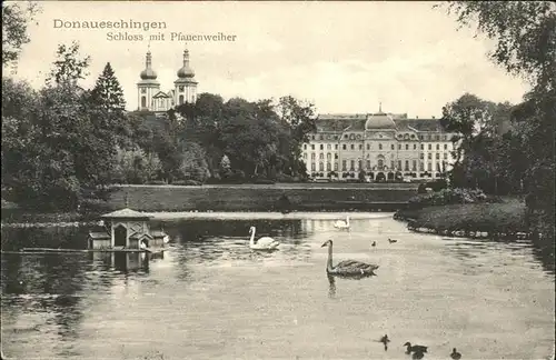 Donaueschingen Schloss Pfauenweiher Kat. Donaueschingen