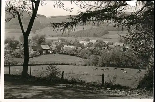 Altenhellefeld Panorama Kat. Sundern (Sauerland)