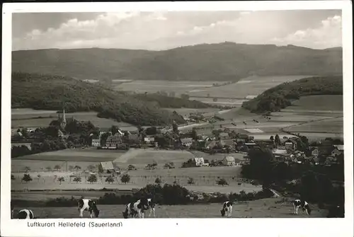 Hellefeld Sauerland Kat. Sundern (Sauerland)