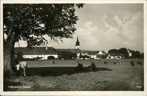 Rottenbuch Oberbayern Kuehe Kat. Rottenbuch