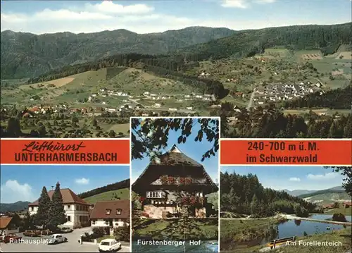 Unterharmersbach Rathausplatz Fuerstenberger Hof Forellenteich Kat. Zell am Harmersbach