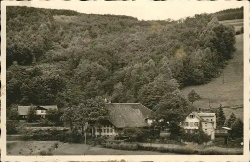 Steinach Baden Kindererholungsheim Waldhof Kat. Steinach