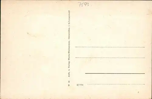 Ottenhoefen Schwarzwald Totalansicht / Ottenhoefen im Schwarzwald /Ortenaukreis LKR