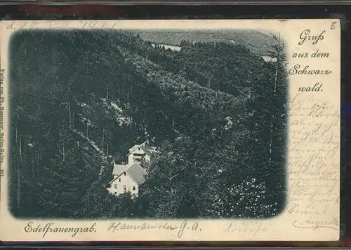 Edelfrauengrab Panorama Kat. Ottenhoefen im Schwarzwald