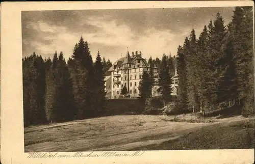 Notschrei Wald Hotel  Kat. Todtnau