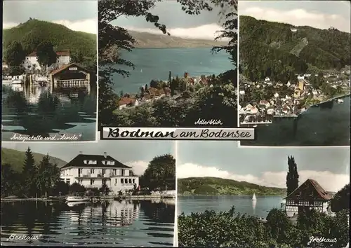 Bodman-Ludwigshafen Anlegestelle und Linde Seehaus Grethaus Adlerblick Kat. Bodman-Ludwigshafen