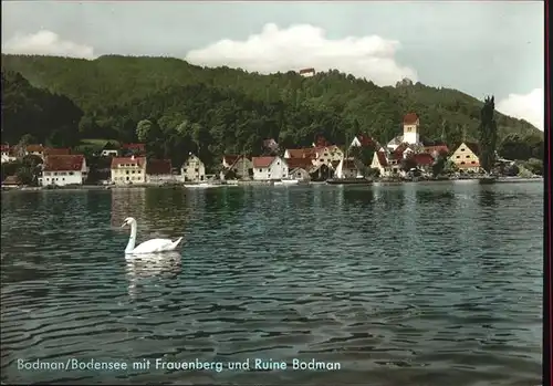 Bodman-Ludwigshafen Frauenberg Ruine Bodman Schwan Kat. Bodman-Ludwigshafen