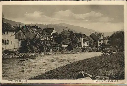 Waldkirch Breisgau Bruecke Kuehe Kat. Waldkirch