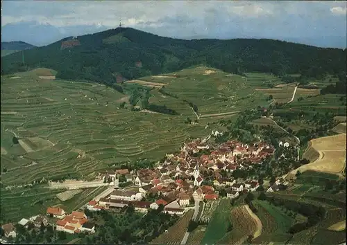 Bickensohl Panorama Kat. Vogtsburg im Kaiserstuhl