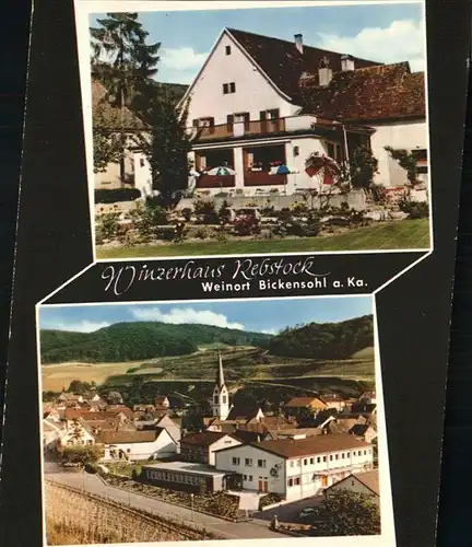 Bickensohl Winzerhaus Rebstock Kat. Vogtsburg im Kaiserstuhl