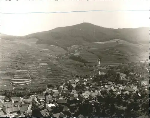 Bickensohl Flugschau Kat. Vogtsburg im Kaiserstuhl