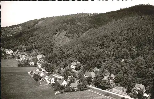 Ebnet Freiburg Breisgau Flugschau / Freiburg im Breisgau /Breisgau-Hochschwarzwald LKR