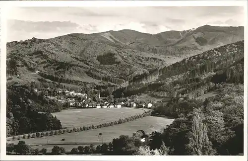 Guenterstal Freiburg Panorama / Freiburg im Breisgau /Breisgau-Hochschwarzwald LKR