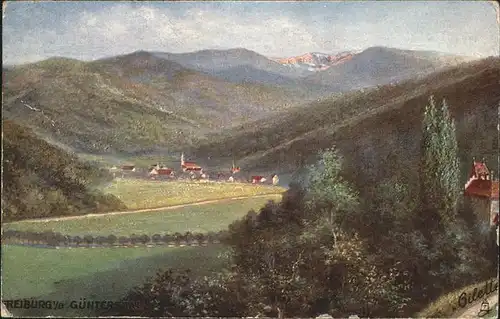 Guenterstal Freiburg Panorama / Freiburg im Breisgau /Breisgau-Hochschwarzwald LKR