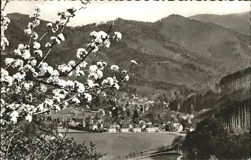 Guenterstal Freiburg Gesamtansicht Schauinsland / Freiburg im Breisgau /Breisgau-Hochschwarzwald LKR