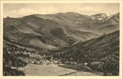 Guenterstal Freiburg Panorama / Freiburg im Breisgau /Breisgau-Hochschwarzwald LKR