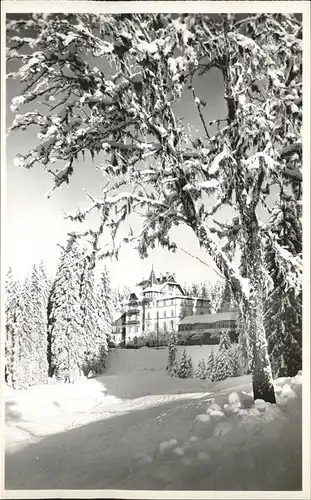 Notschrei Waldhotel Kat. Todtnau