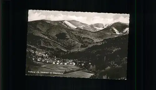 Guenterstal Freiburg Gesamtansicht / Freiburg im Breisgau /Breisgau-Hochschwarzwald LKR