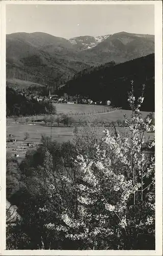 Guenterstal Freiburg Teilansicht / Freiburg im Breisgau /Breisgau-Hochschwarzwald LKR