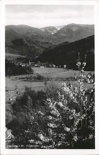 Guenterstal Freiburg Teilansicht / Freiburg im Breisgau /Breisgau-Hochschwarzwald LKR