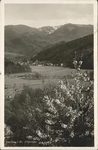 Guenterstal Freiburg Teilansicht / Freiburg im Breisgau /Breisgau-Hochschwarzwald LKR