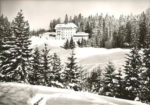 Notschrei Waldhotel Kat. Todtnau