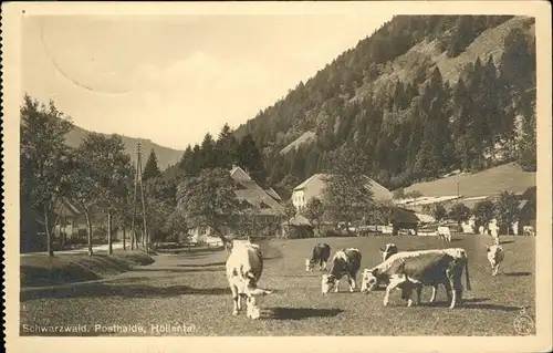 Hoellental Schwarzwald Posthalde Kuehe Kat. Buchenbach