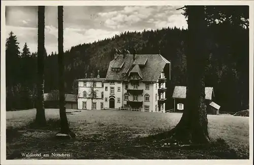 Notschrei Waldhotel Kat. Todtnau