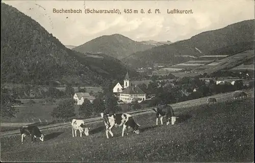 Buchenbach Breisgau Panorama Kuehe Kat. Buchenbach