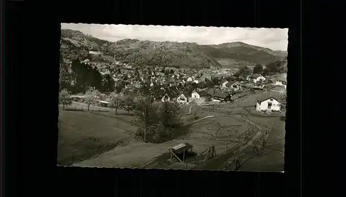 Waldkirch Breisgau Panorama Kat. Waldkirch