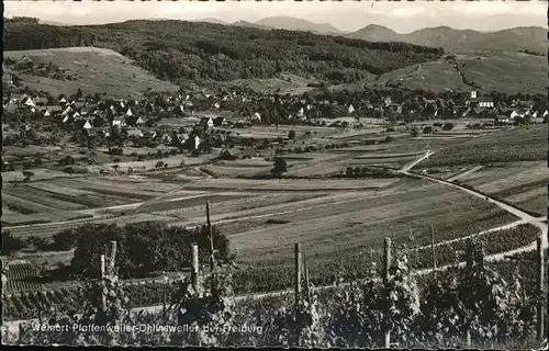 Pfaffenweiler Breisgau Gesamtansicht Kat. Pfaffenweiler