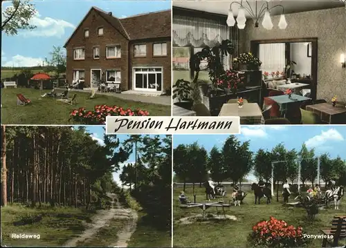Laer Steinfurt Pension Hartmann / Laer /Steinfurt LKR
