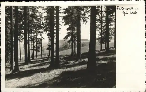 Frauenwald Thueringen Wald Kat. Frauenwald