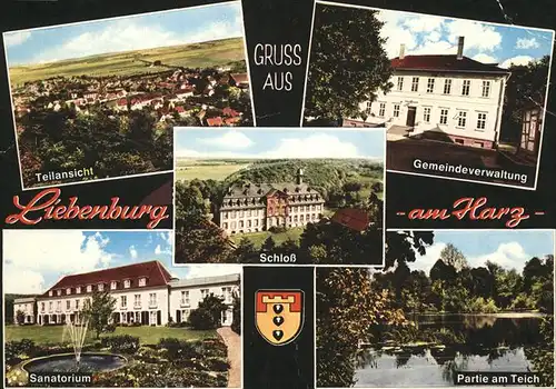 Liebenburg Gemeindeverwaltung Teich Stadtwappen Schloss Sanatorium Kat. Liebenburg