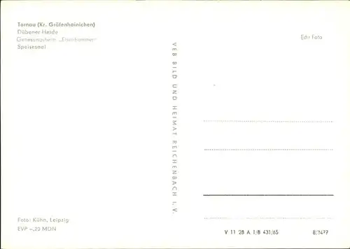 Tornau Graefenhainichen Duebener Heide Genesungsheim Eisenhammer Kat. Tornau Graefenhainichen