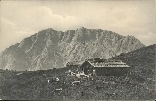 Watzmann Gotzenalpe Kuehe Kat. Berchtesgaden