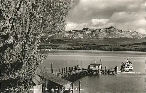 Immenstaad Bodensee Schiff Kat. Immenstaad am Bodensee