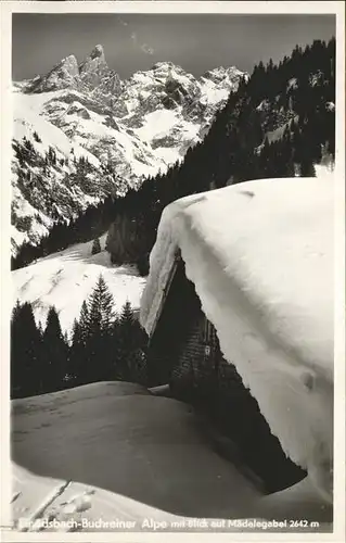 Einoedsbach Buchreiner Alpe Maedelegabel Kat. Oberstdorf