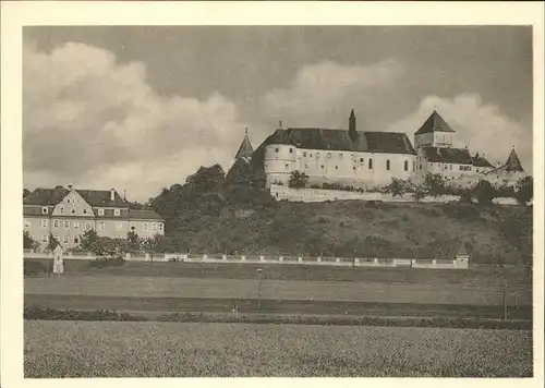 Woerth Donau Krankenhaus Schloss Kat. Woerth a.d.Donau