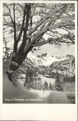 wz29271 Reichenbach Oberstdorf Weg zur Gaisalpe Nebelhorn Kategorie. Oberstdorf Alte Ansichtskarten
