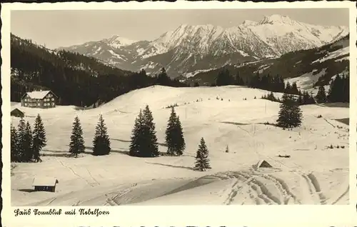 Laub Sonnblick Nebelhorn Kat. Schoensee