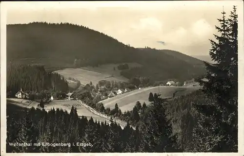 Wildenthal Eibenstock Ellbogenberg Kat. Eibenstock